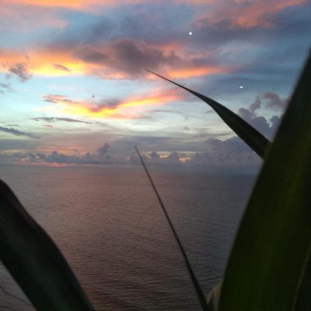 Cartagena Palmetto Beach Bella Vista 외부 사진